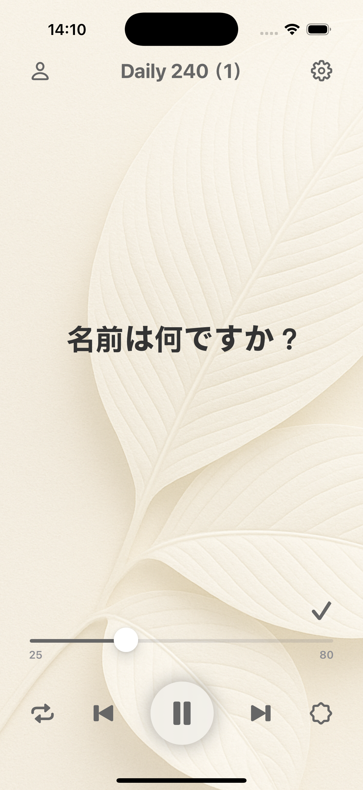 应用界面